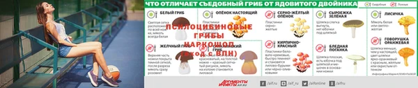 ешки Остров