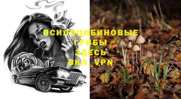 ешки Остров