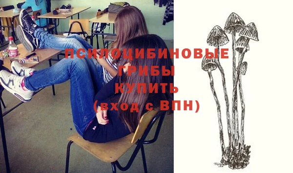 а пвп мука Осинники