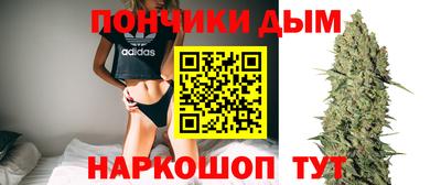 крисы Дубна
