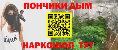 крисы Дубна