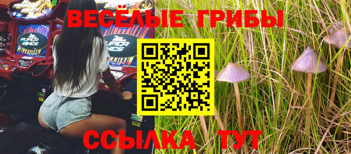 Галлюциногенные грибы прущие грибы Красноперекопск
