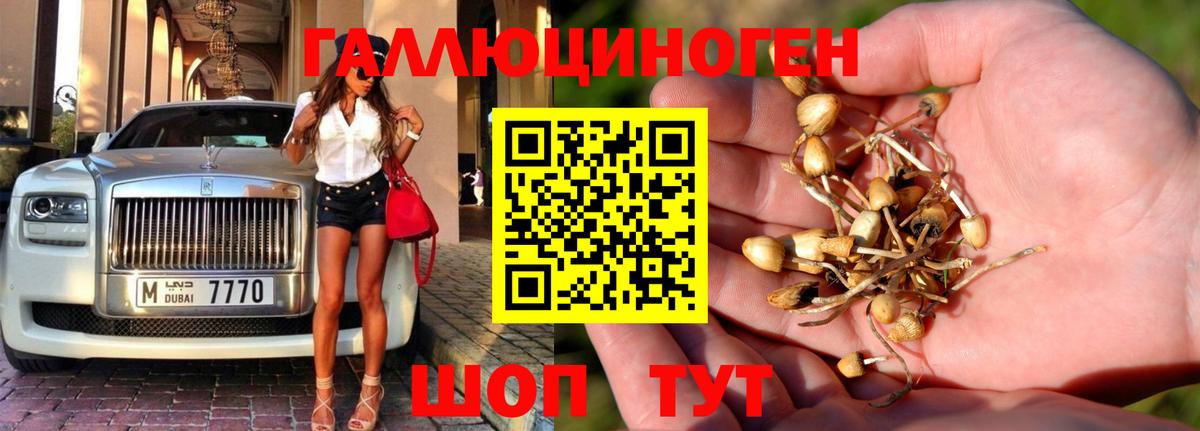 Галлюциногенные грибы ЛСД  Вход с VPN  где найти   Красноперекопск 