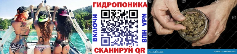 Бошки Шишки семена  закладка  Красноперекопск 